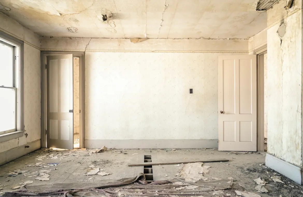 Waste disposal crew managing a cleanout project in Paloma Creek